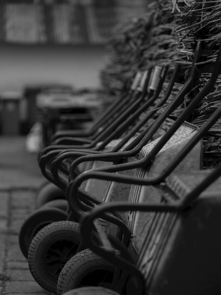 A line of wheelbarrows in black and white